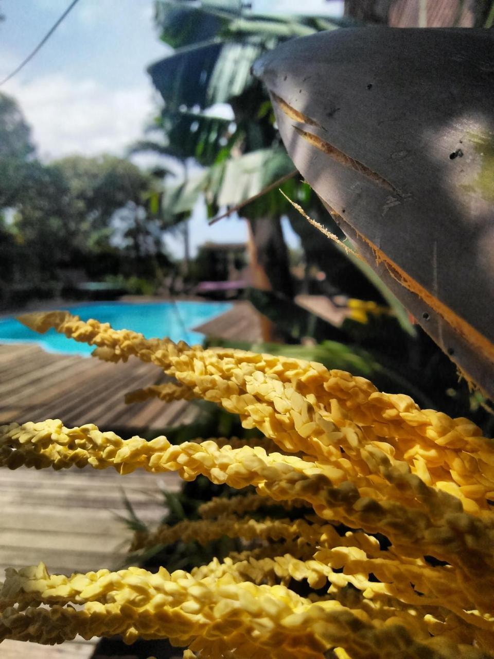 Villa Josefa - Chale Completo Com Piscina E Churrasqueira ปรายาโดโฮซา ภายนอก รูปภาพ